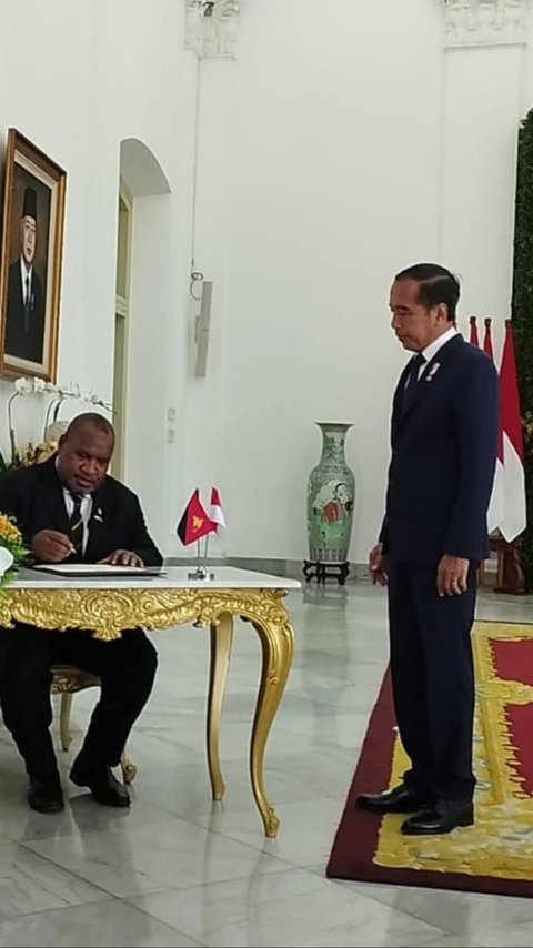 Indonesia Alirkan Listrik ke Papua Nugini, Begini Penjelasan Jokowi