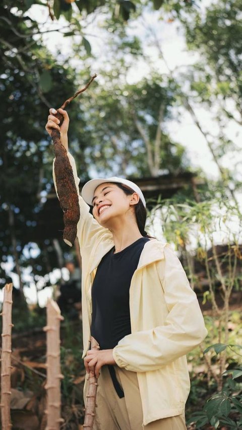 Meramban Daun di Hutan Kalimantan, 8 Foto Maudy Ayunda Panen Singkong