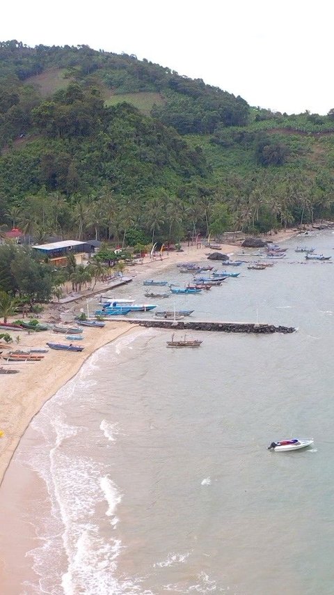 FOTO: Menengok Desa Kelawi, Surga Tersembunyi di Lampung Selatan Miliki Inovasi Agrowisata hingga Meraih Penghargaan