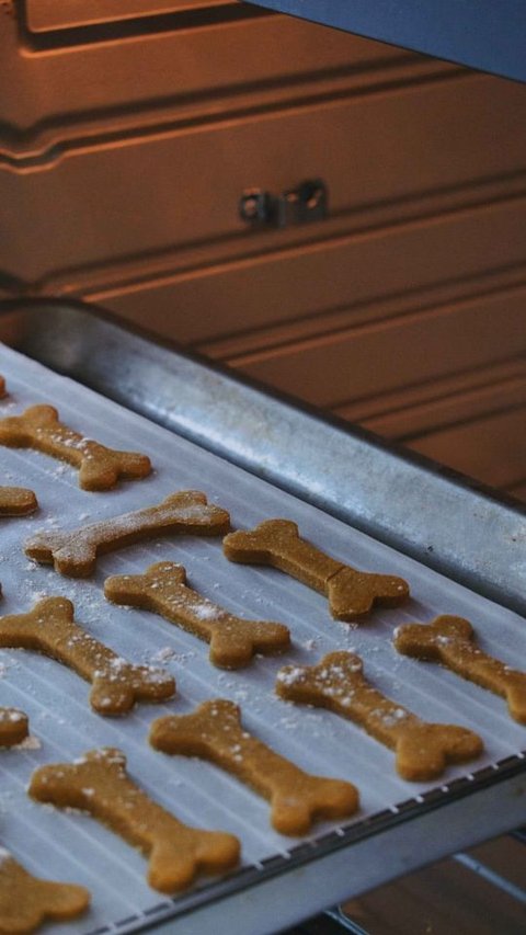 Homemade Dog Treats Recipe: 3 Simple and Healthy Ideas for Your Furry Friends