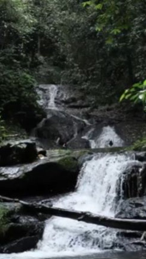 Air Terjun Kilat Api Hingga Bukit Langara yang Memanjakan Mata di Geopak Meratus