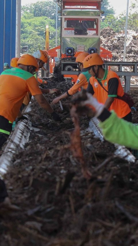 Jika Harga Pupuk Naik Rp1.000, Produksi Padi Turun Setengah Ton Per Hektare