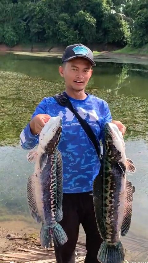 Fishing Enthusiast Releases Catch After Seeing This Fish's Offspring, Netizens Applaud!