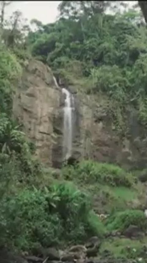 Pesona Curug Cina, Air Terjun di Balik Rindangnya Hutan Subang yang Bikin Betah