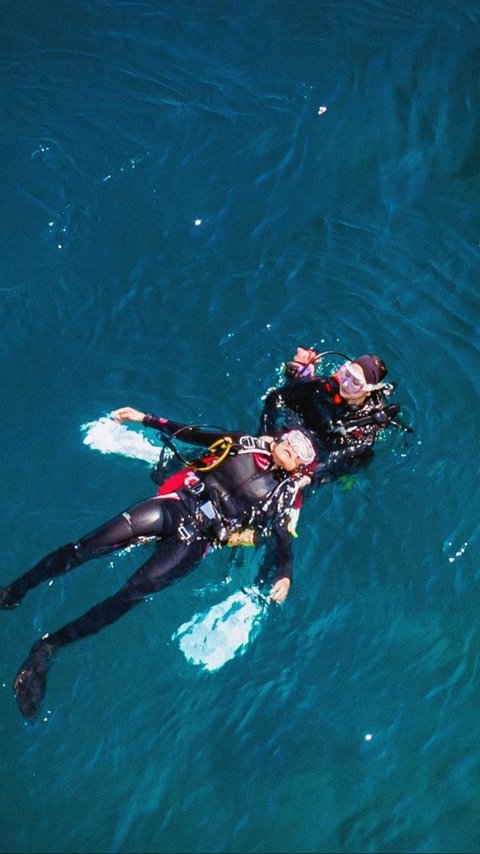 10 Momen Menegangkan Prilly Latuconsina saat Diving Menuju Bangkai Kapal yang Ada di Bawah Laut: Hawanya Horor Sekali