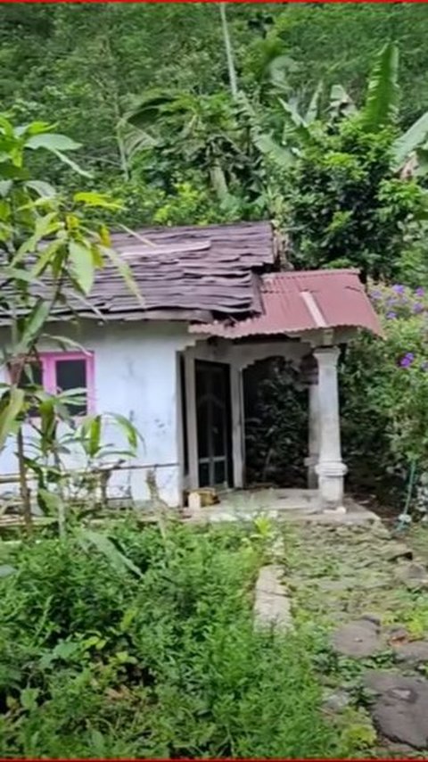 Mengunjungi Kampung Mati di Tengah Hutan Purbalingga, Kini Tinggal Sisakan Satu Keluarga