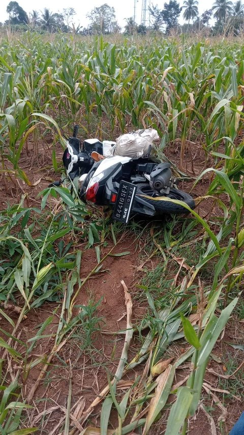 Kronologi Penemuan Mayat Terbungkus Karung di Kebun Jagung Lampung