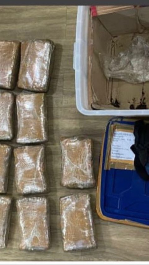 Polisi Bongkar Peredaran Narkoba di Tanjung Priok, 30 Kilogram Ganja Disita