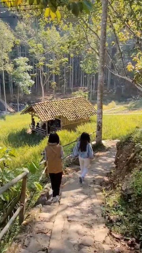 Warung di Sumedang Ini Ramai Dikunjungi Muda-Mudi, Pemandangan Sawah dan Sungai Jadi Daya Tarik