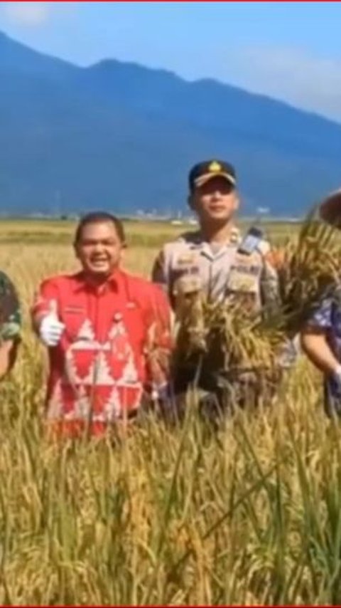 Kelompok Tani di Semarang Ini Buktikan Hasil Panen Lebih Produktif Gunakan Pupuk Organik, Lebih Ekonomis dan Bikin Tanah Subur