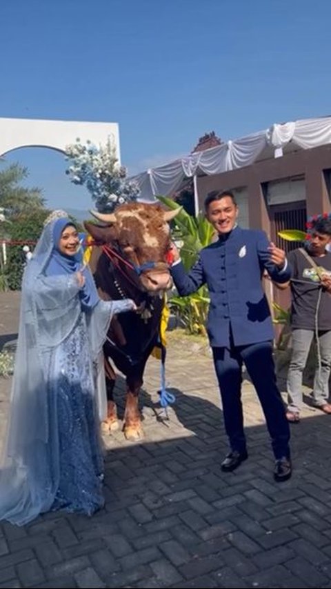 Viral Pengusaha Muda di Bogor Ini Nikah dengan Mahar Sapi Berbobot 900 Kg, Begini Momennya