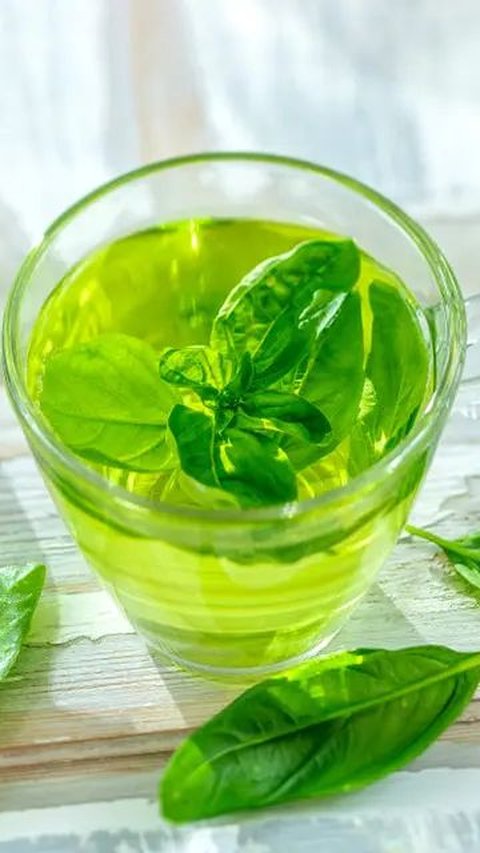 How to Make Basil Leaf Boiled Water, Herbal Recipe to Reduce Cholesterol