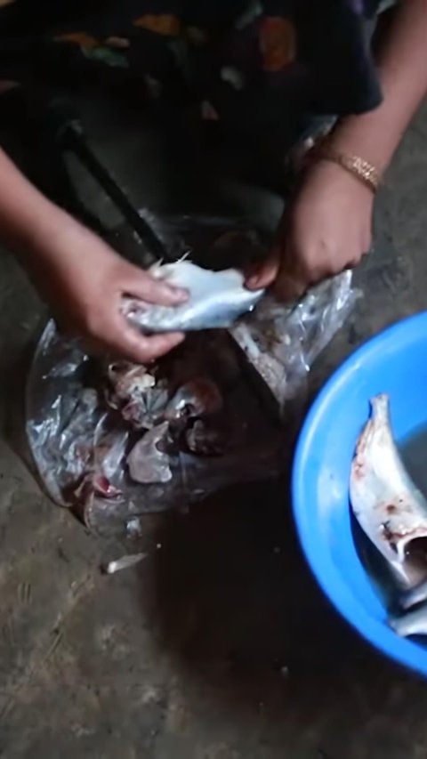 The Most Deadly Food in the World Koi Pla from Thailand, One Bite Can Cause Cancer