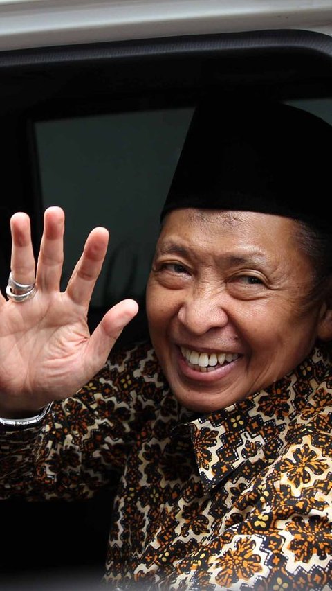 Karir Politik Hamzah Haz, Kiai NU Jadi Wapres 3 Tahun Dampingi Presiden Megawati