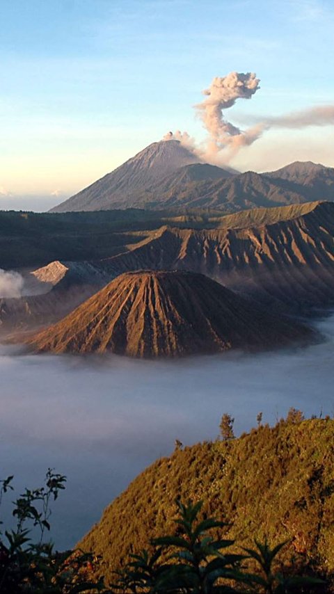 Wisatawan Dilarang Dirikan Tenda di Kawasan Gunung Bromo