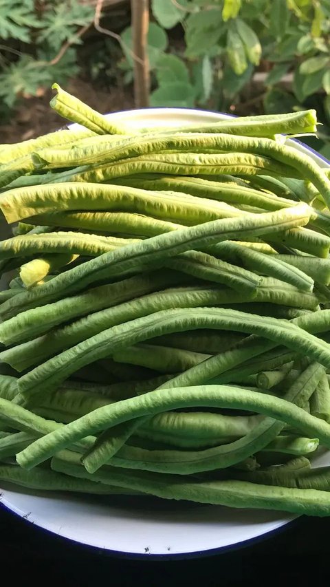 How to Keep Long Beans Fresh and Lasting Up to 10 Days, Just Store Using This Tool