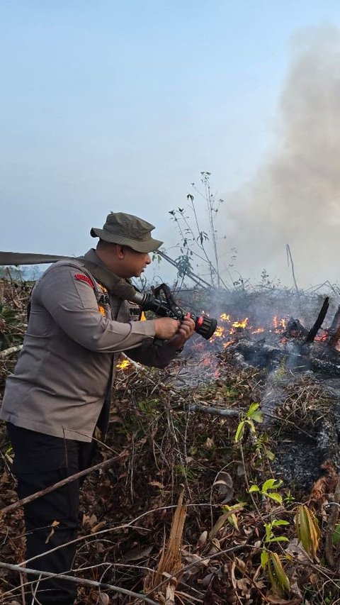 Lahan Perbatasan Hutan Lindung di Riau Terbakar, 40 Personel Pemadam Dikerahkan