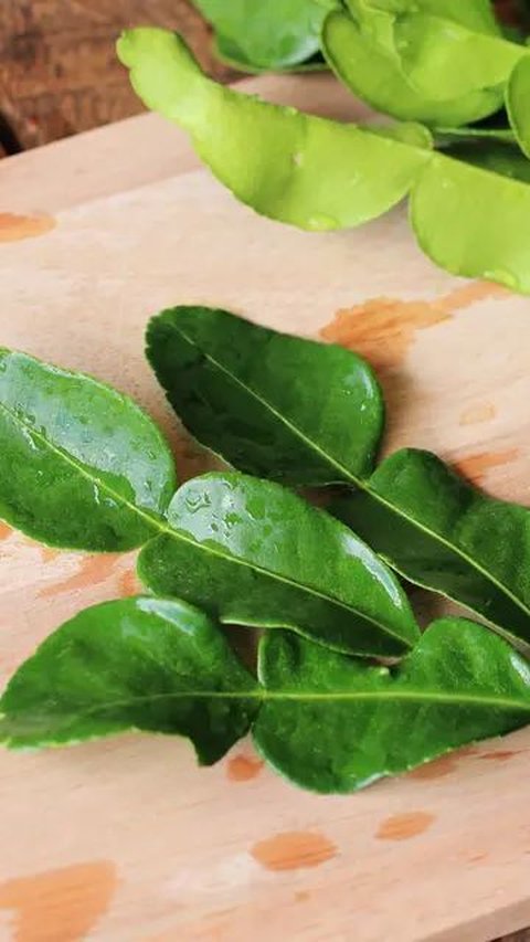 Trick to Store Lime Leaves to Keep Them Fresh and Not Easily Moldy, Here's How