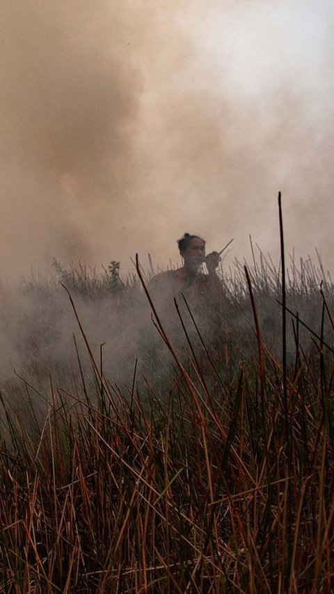 Demi Kelabui Petugas, Ini Trik Licik Digunakan Warga Saat Bakar Hutan untuk Buka Lahan