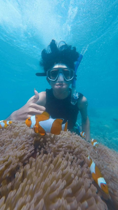 Peringatan Hari Snorkeling Sedunia 30 Juli, Ketahui Tujuannya