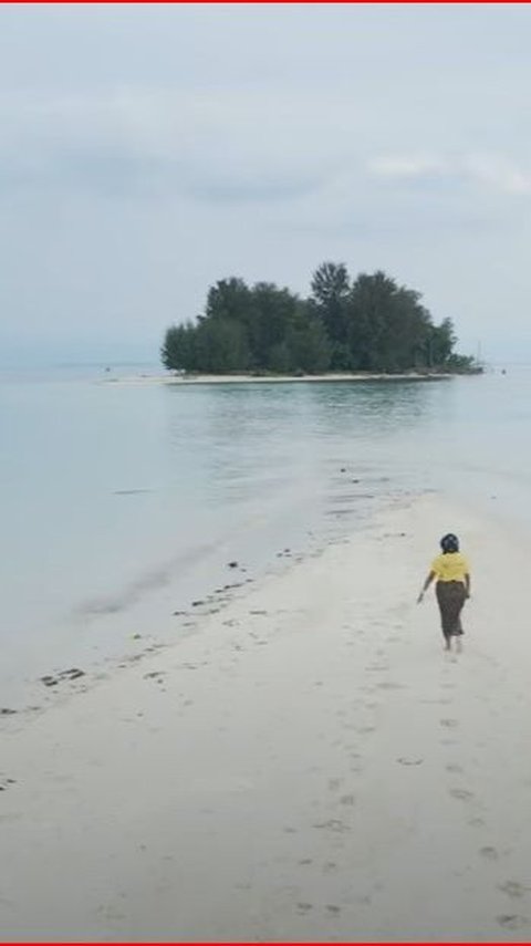 Sensasi Berwisata ke Pulau Morotai, Bisa Melihat Peninggalan Perang Dunia II hingga Renang bareng Ikan Hiu