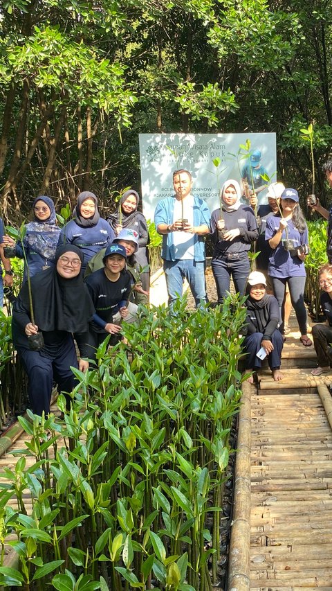 Hari Mangrove Sedunia, PNM Peduli Tanam 50.000 Mangrove untuk Tekan Bencana di Pesisir