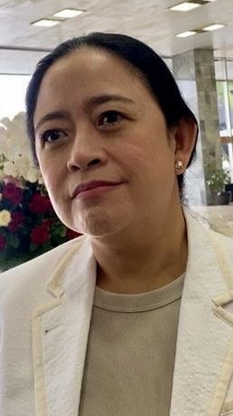 Puan Singgung Peluang Koalisi PKB-PDIP di Pilkada Jakarta, Jadi Poros Ketiga?