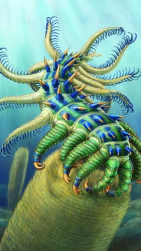 Scientists Discover New Species of Ancient Marine Animals 500 Million Years Old, Resembling Worms with Spikes All Over Their Bodies