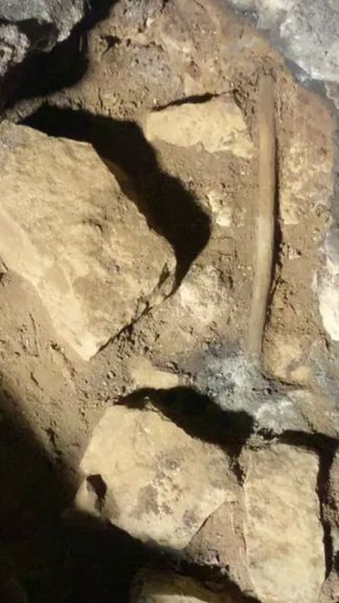 Arkeolog Temukan Tongkat Sihir Berusia 12 Ribu Tahun di Dalam Gua di Australia, Diduga Milik Dukun buat Menyantet Musuh