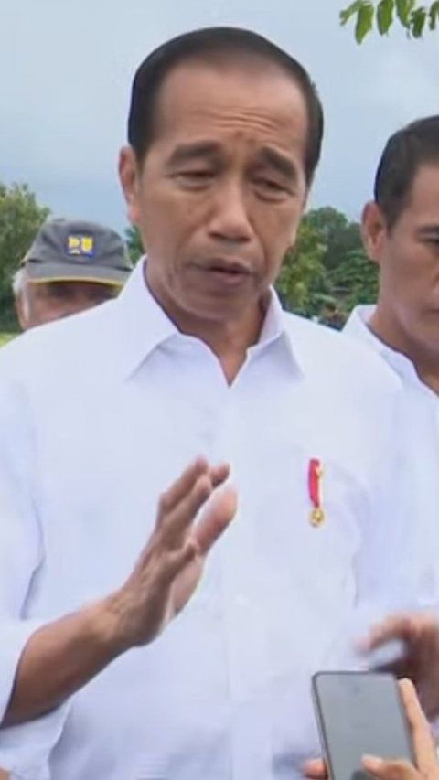 Presiden Jokowi Ingin Beras Sulsel Dikirim ke IKN