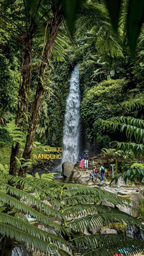 Mengunjungi Curug Landung, Air Terjun Tinggi di Kuningan yang Punya 300 Anak Tangga