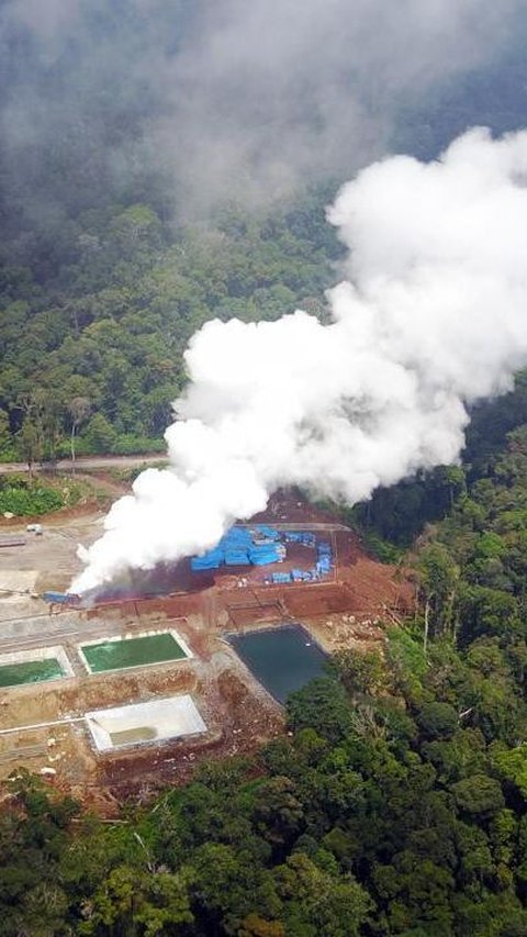 Ada Aturan Carbon Capture Storage, Pemerintah Harus Jaga Harga Listrik Tetap Terjangkau