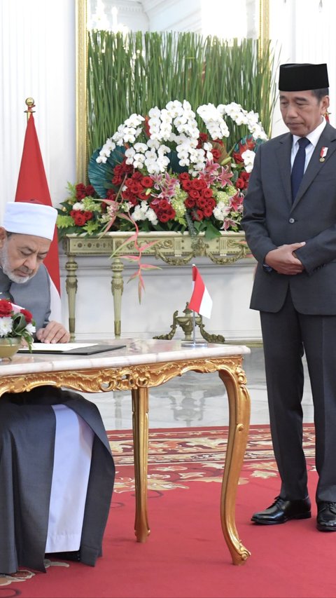 Jokowi dan Grand Syekh Al Azhar Kompak Dorong Gencatan Senjata Permanen di Gaza