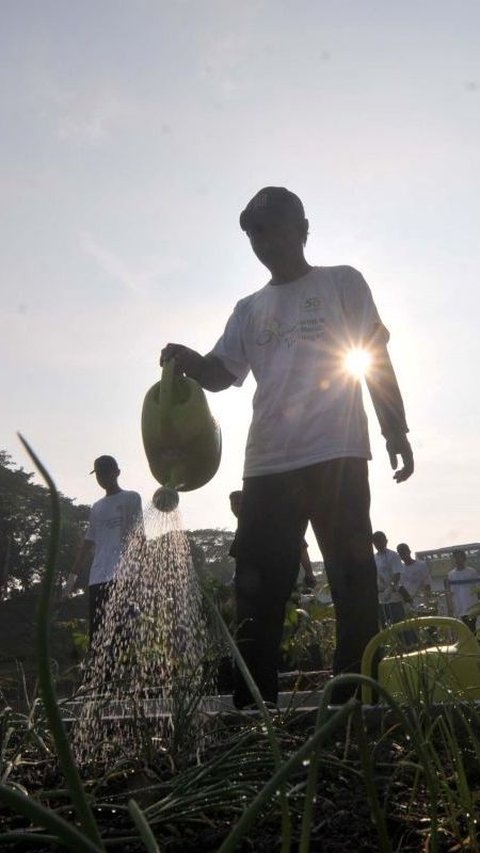 FOTO: Memanfaatkan Lahan Kosong Kanal Banjir Timur Menjadi Produktif dengan Menanam Bibit Sayuran dan Buah-Buahan