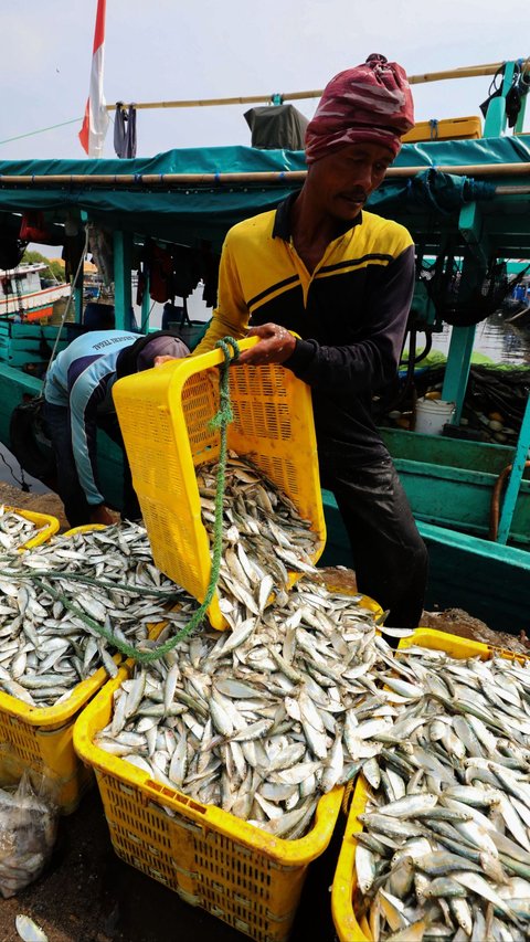 FOTO: Tahun 2025, Indonesia Targetkan Produksi Perikanan Capai 24,58 Juta Ton