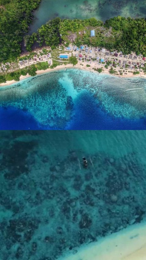 Mengunjungi Pulau Liki Papua, Air Lautnya Sangat Jernih Bisa Lihat Keindahan Bawah Laut dengan Mata Telanjang