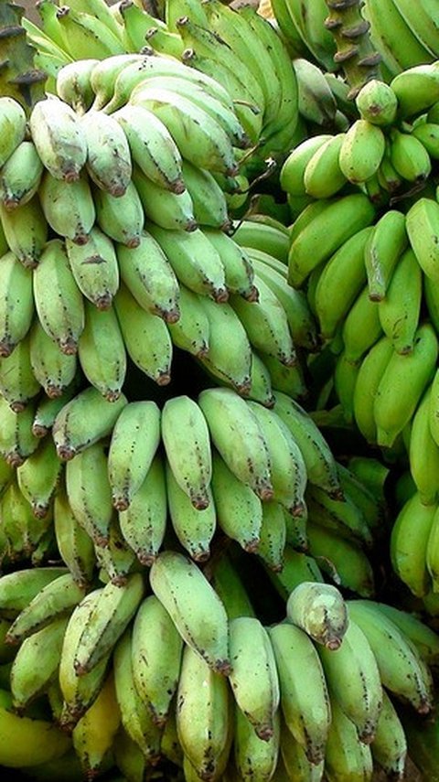 Suhu Bumi Makin Panas, Petani di Korea Mulai Tanam Pisang hingga Pepaya