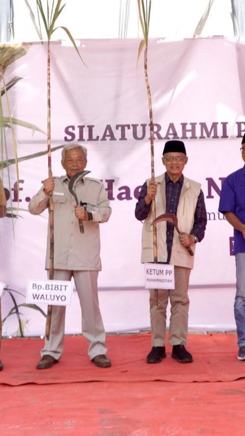 Muhammadiyah Kembangkan Riset Varietas Tebu untuk Lahan Eks Tambang