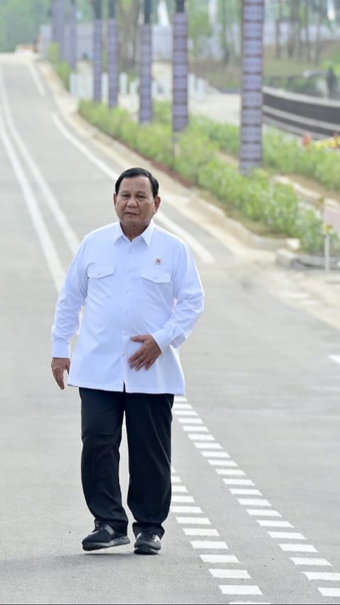 Prabowo Sampaikan Terima Kasih ke Airlangga dan Sri Mulyani Bantu Siapkan APBN 2025