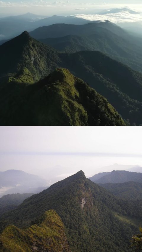 Serunya Mendaki Gunung Halau-Halau Kalsel, Jalurnya Menantang tapi Bikin Puas saat Tiba di Puncak