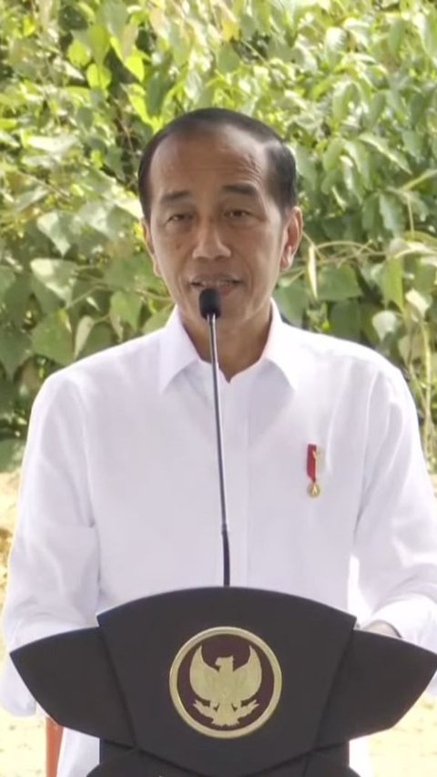 Presiden Jokowi Beri Arahan ke 517 Kepala Daerah di IKN, Dua Gubernur Ini Absen