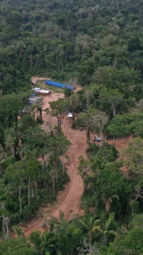 Suku Terasing di Pedalaman Amazon Serang Pembalak Liar dengan Panah dan Busur, Tak Ingin Tanah Leluhur Mereka Diganggu