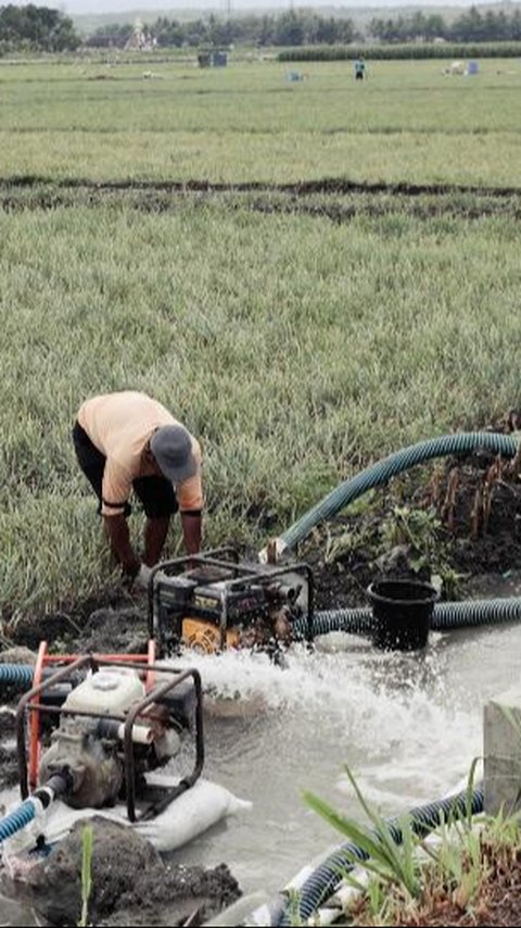 Manfaat Pompanisasi Dirasakan Langsung Petani Kabupaten Lamongan