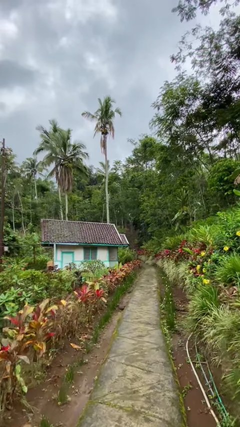 Intip Keindahan Kampung Lamping Garut yang Syahdu Selepas Hujan, Pemandangan Taman di Halaman Rumah Bikin Betah