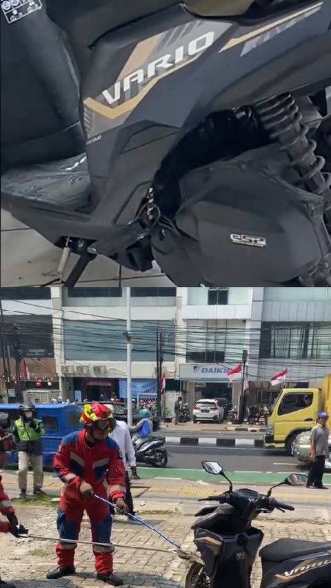 Wanita di Jakarta Ini Kaget Temukan Ular Besar Sembunyi di Motornya, Begini Penampakannya