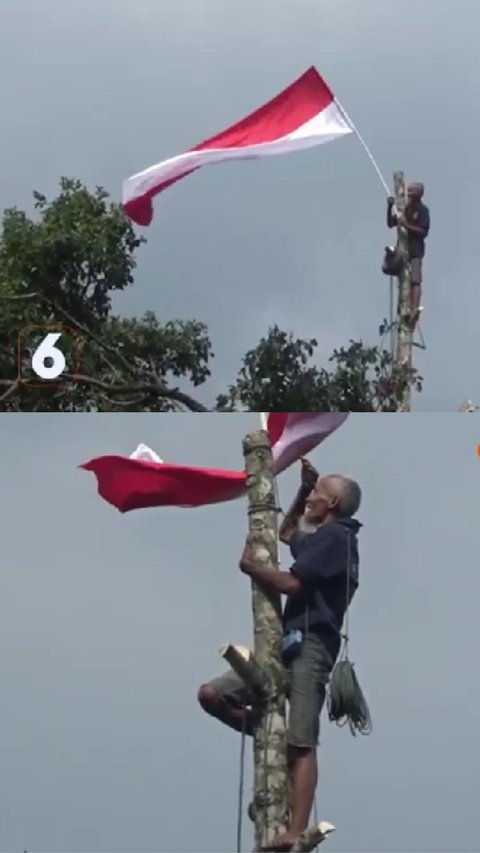 Tunjukkan Rasa Cinta Tanah Air, Kakek 76 Tahun di Sumbar Nekat Panjat Pohon 80 Meter Demi Kibarkan Bendera Merah Putih