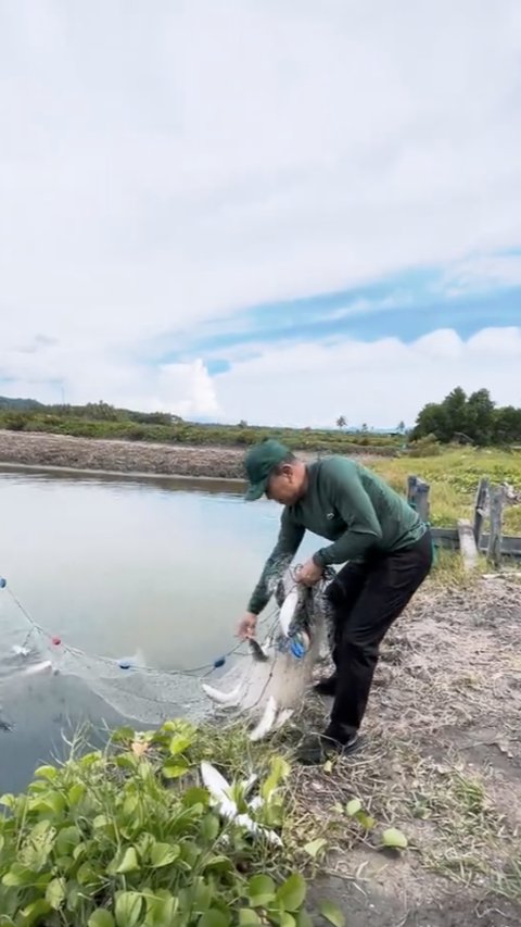 Momen Pensiunan Jenderal TNI Bintang 2 Jaring Ikan di Empang, Hasilnya Langsung Dimakan Bareng Warga