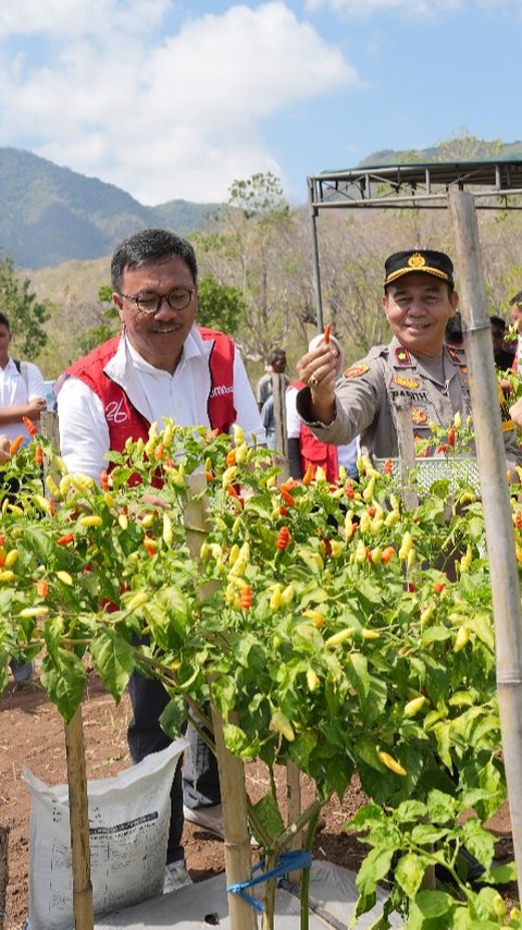 Dukung Ketahanan Pangan, Nelayan Ini 'Sulap' Pekarangan Jadi Lahan Bercocok Bertanam