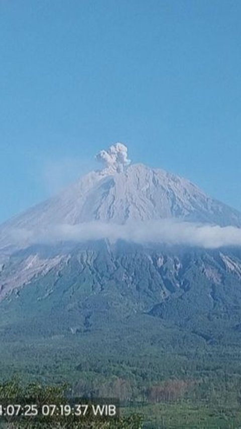 Kembali Erupsi, Gunung Semeru Muntahkan Abu Setinggi 700 Meter