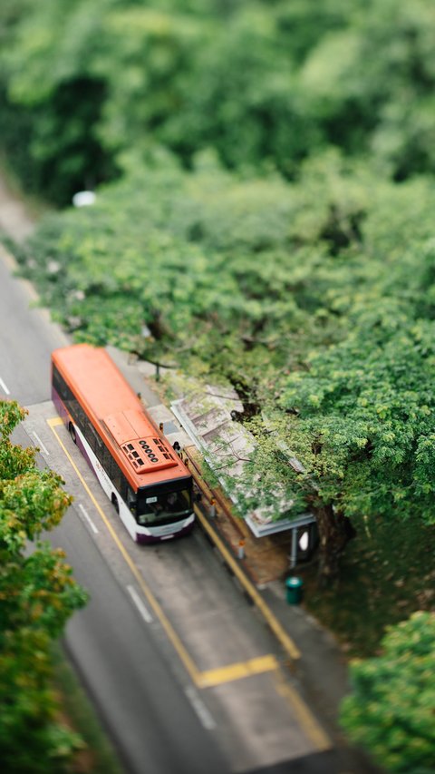 Bus Sekolah Gratis di Bantul Mulai Beroperasi Hari Ini, Ini Rute dan Jam Operasionalnya